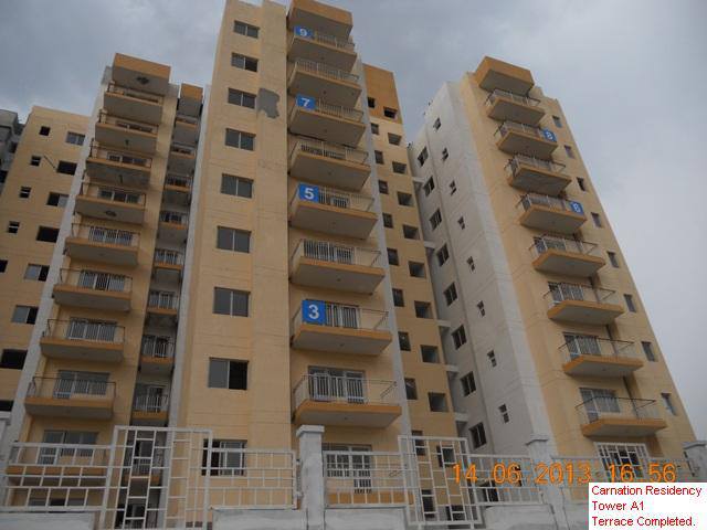 Orris Carnation Residency